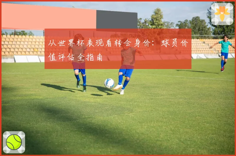 从世界杯表现看转会身价：球员价值评估全指南