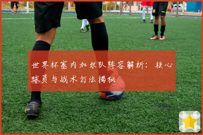 世界杯塞内加尔队阵容解析：核心球员与战术打法揭秘