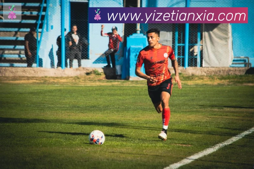 开云kaiyun网页版平台生态图