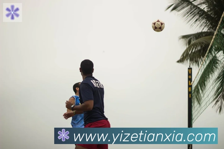 开云kaiyun网页版服务体系